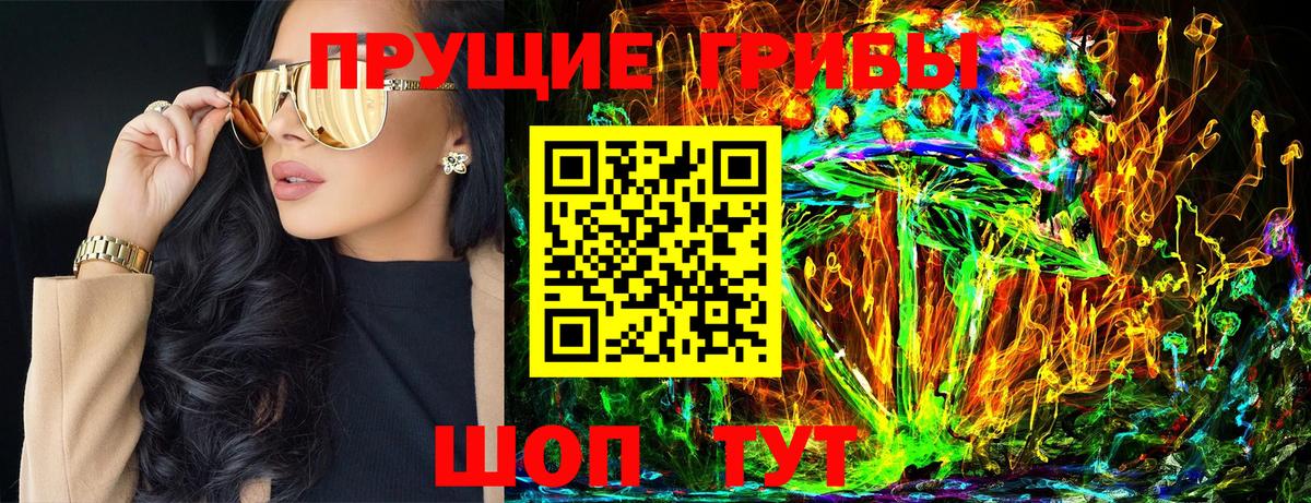 Псилоцибиновые грибы GOLDEN TEACHER Всеволожск