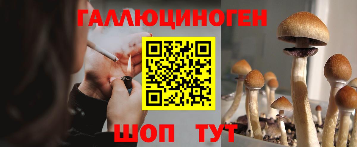 Галлюциногенные грибы Psilocybe  Вход с VPN  Всеволожск 